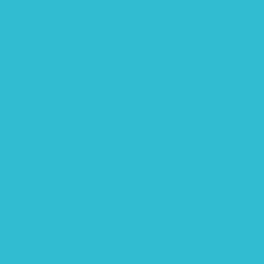 Жидкие обои Silk Plaster Краска PRIME COLOR Резиновая PRO, 13 кг, оттенок голубой 10-08, Голубой