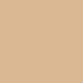 Жидкие обои Silk Plaster Грунтовка Alteritaly BASE 01-21-1006Б, Желтый