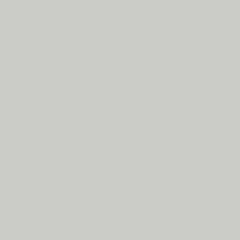Жидкие обои Silk Plaster Грунтовка Alteritaly BASE 01-320-301Б, Серый