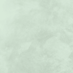 Жидкие обои Silk Plaster Декоративное покрытие CORSICO 02-1301 08l, Зеленый