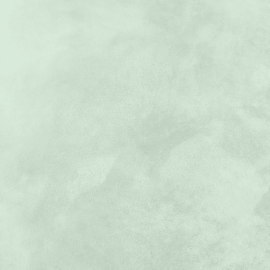 Жидкие обои Silk Plaster Декоративное покрытие CORSICO 02-1301 08l, Зеленый