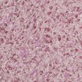 Жидкие обои Silk Plaster Жидкие обои Жидкие обои Victoria 713, Фиолетовый