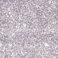Жидкие обои Silk Plaster Жидкие обои Жидкие обои Master Silk MS-25, Фиолетовый