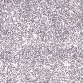 Жидкие обои Silk Plaster Жидкие обои Жидкие обои Master Silk MS-25, Фиолетовый