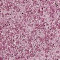 Жидкие обои Silk Plaster Жидкие обои Жидкие обои South 948, Фиолетовый