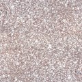 Жидкие обои Silk Plaster Жидкие обои Жидкие обои Master Silk MS-23, Коричневый