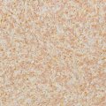 Жидкие обои Silk Plaster Жидкие обои Жидкие обои West 931, Оранжевый