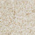 Жидкие обои Silk Plaster Жидкие обои Жидкие обои Relief 322, Бежевый