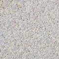 Жидкие обои Silk Plaster Жидкие обои Жидкие обои Prestige 406, Серый Фиолетовый