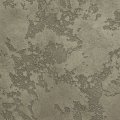 Жидкие обои Silk Plaster TOPCOAT-MATTE 03-1306, Зеленый