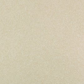 Жидкие обои Silk Plaster Жидкие обои Жидкие обои Master Silk MS-170, Бежевый