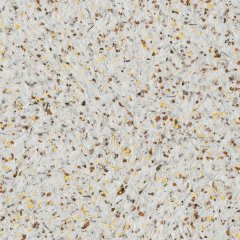 Жидкие обои Silk Plaster Жидкие обои Жидкие обои Nord 922, Бежевый