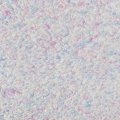 Жидкие обои Silk Plaster Жидкие обои Жидкие обои Premium 807, Розовый Голубой Фиолетовый